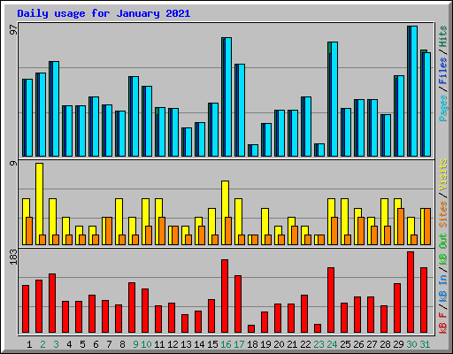 Daily usage for January 2021