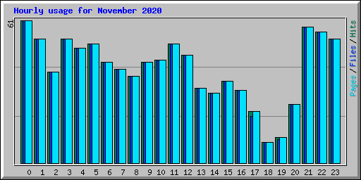 Hourly usage for November 2020