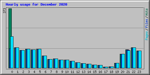 Hourly usage for December 2020