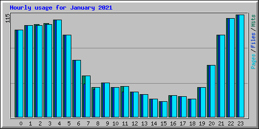 Hourly usage for January 2021