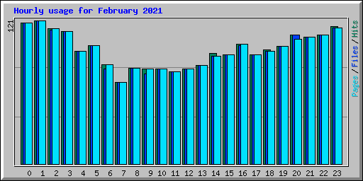 Hourly usage for February 2021