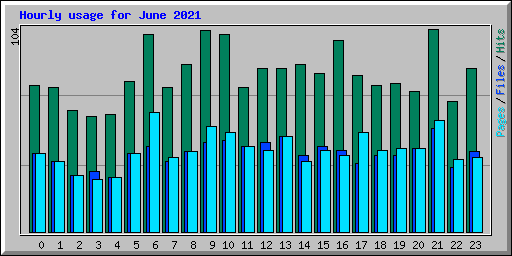 Hourly usage for June 2021