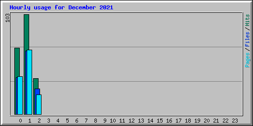 Hourly usage for December 2021