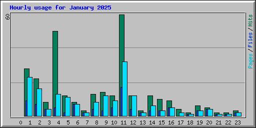 Hourly usage for January 2025