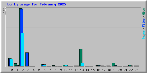 Hourly usage for February 2025