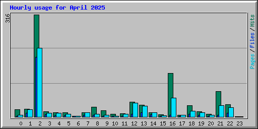 Hourly usage for April 2025