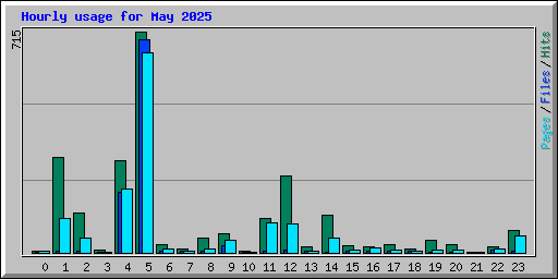 Hourly usage for May 2025