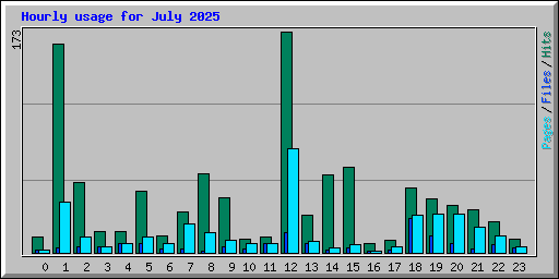 Hourly usage for July 2025