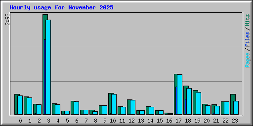 Hourly usage for November 2025