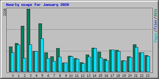 Hourly usage for January 2026