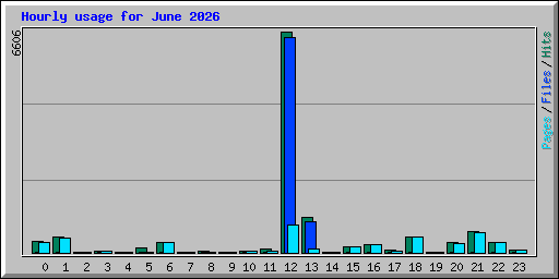 Hourly usage for June 2026