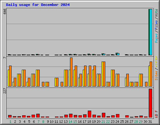 Daily usage for December 2024