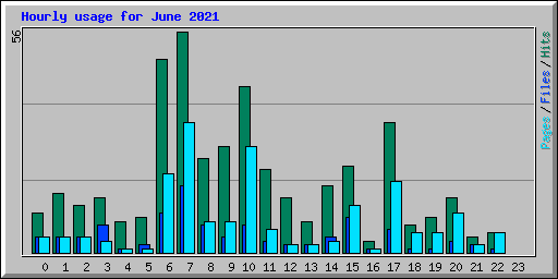 Hourly usage for June 2021
