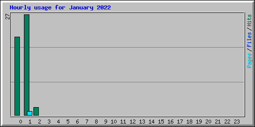 Hourly usage for January 2022