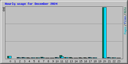 Hourly usage for December 2024