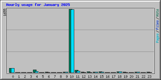 Hourly usage for January 2025