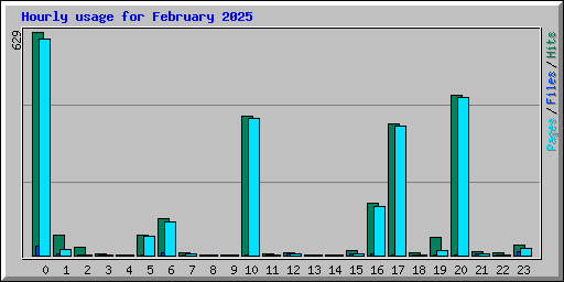 Hourly usage for February 2025