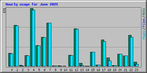 Hourly usage for June 2025
