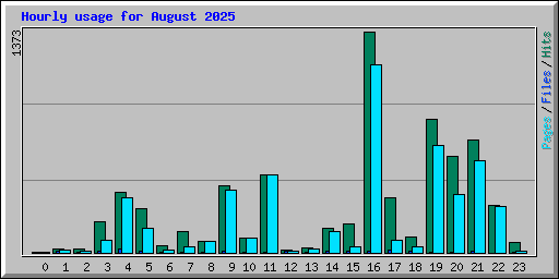 Hourly usage for August 2025