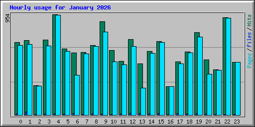 Hourly usage for January 2026