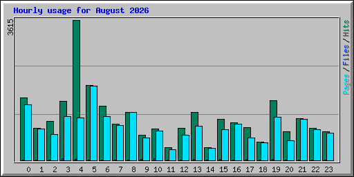Hourly usage for August 2026