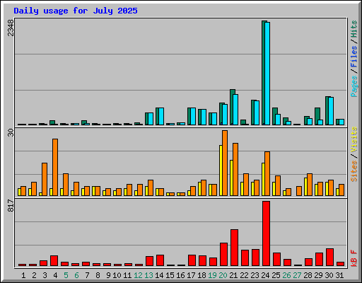 Daily usage for July 2025