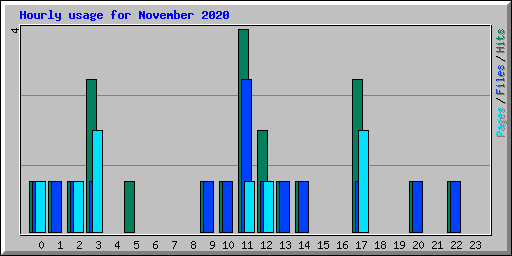 Hourly usage for November 2020