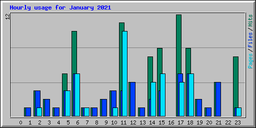 Hourly usage for January 2021