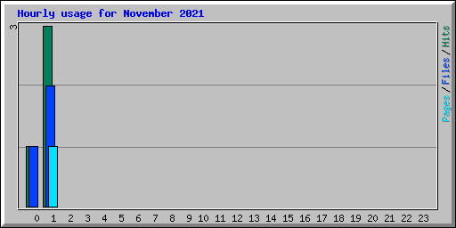 Hourly usage for November 2021