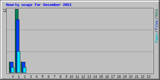 Hourly usage for December 2021