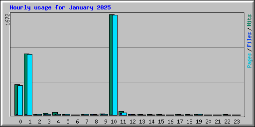 Hourly usage for January 2025
