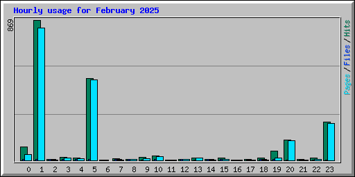 Hourly usage for February 2025