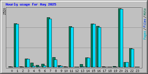 Hourly usage for May 2025