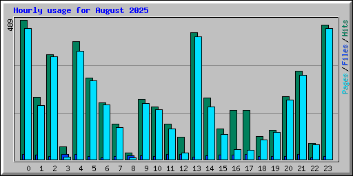 Hourly usage for August 2025