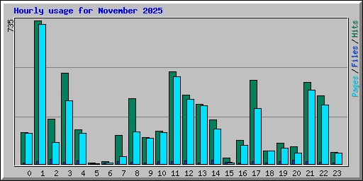 Hourly usage for November 2025