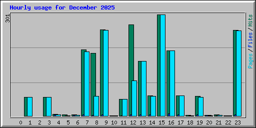 Hourly usage for December 2025