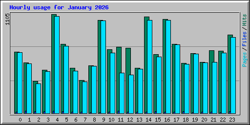 Hourly usage for January 2026