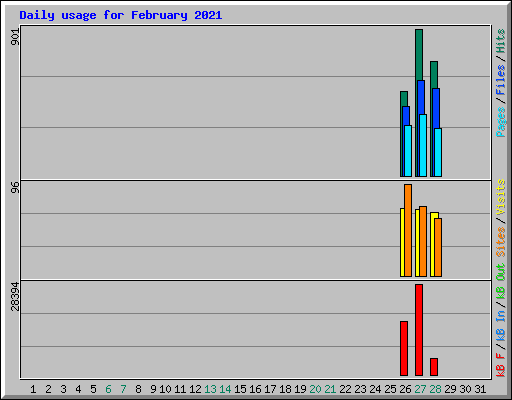 Daily usage for February 2021