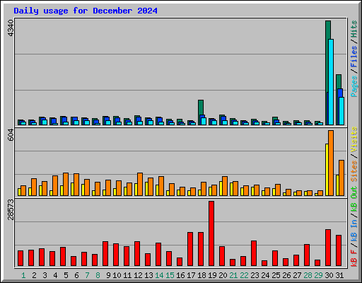 Daily usage for December 2024