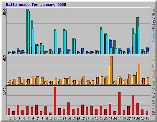 Daily usage for January 2025