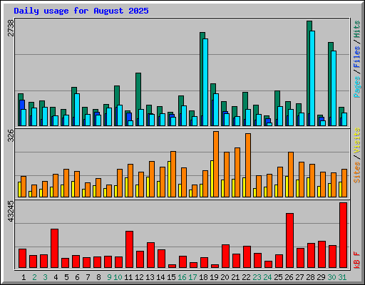 Daily usage for August 2025