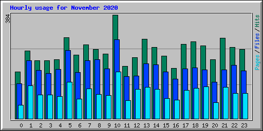 Hourly usage for November 2020