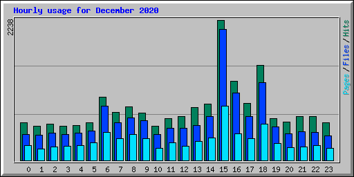 Hourly usage for December 2020