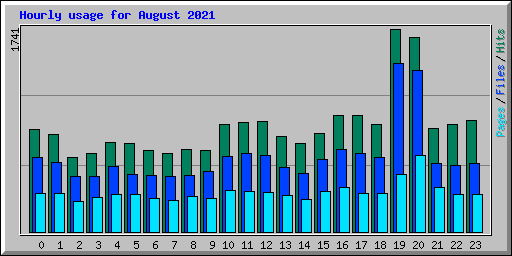 Hourly usage for August 2021