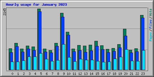Hourly usage for January 2023