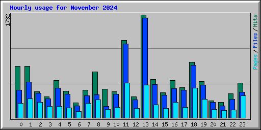 Hourly usage for November 2024