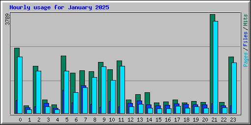 Hourly usage for January 2025