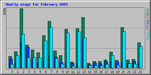 Hourly usage for February 2025