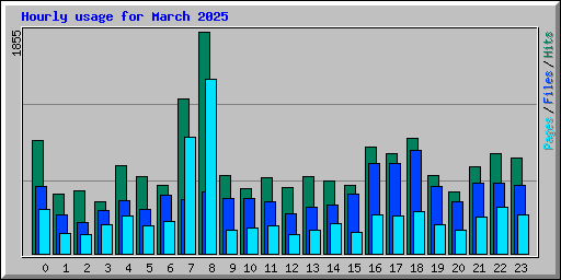Hourly usage for March 2025