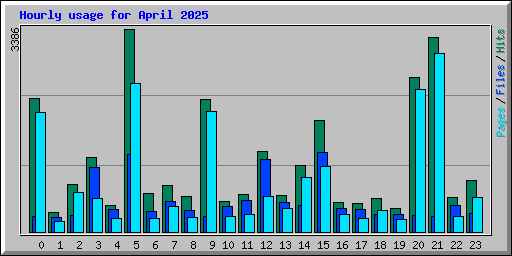 Hourly usage for April 2025